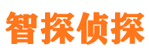 吉首市私家侦探